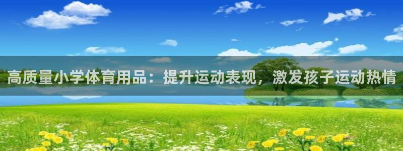 欧陆娱乐平台官网入口：高质量小学体育用品：提升运动表