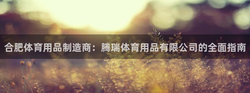 欧陆娱乐怎么样：合肥体育用品制造商：腾瑞体育用品有限