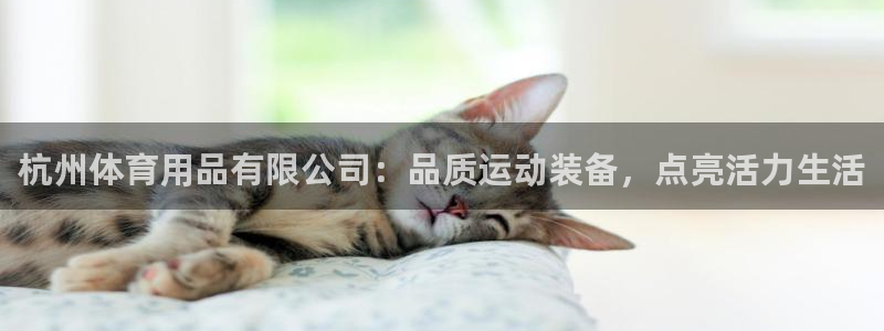 欧陆娱乐平台登录不上去怎么办：杭州体育用品有限公司：