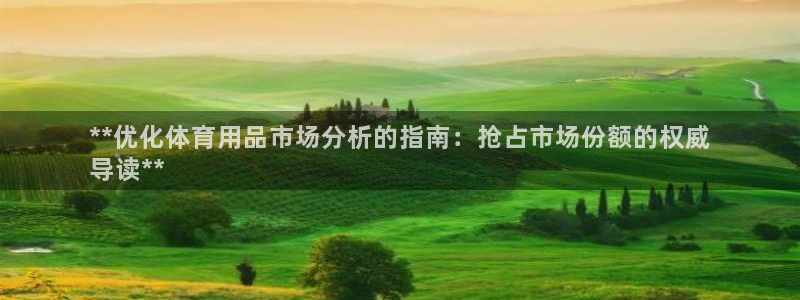 欧陆娱乐计划预测软件下载：**优化体育用品市场分析的指南：抢
