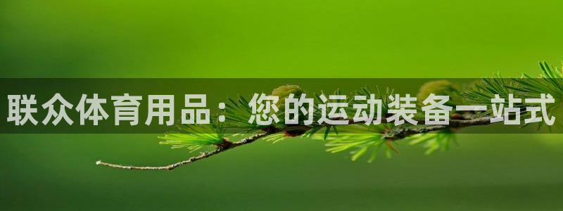 欧陆娱乐登陆官网入口：联众体育用品：您的运动装备一站