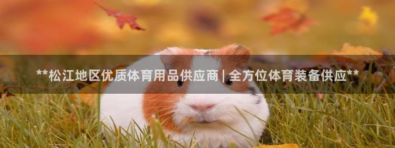 欧陆娱乐能不能玩：**松江地区优质体育用品供应商 |
