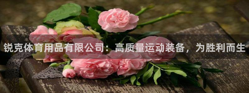 欧陆娱乐app下载安装：锐克体育用品有限公司：高质量