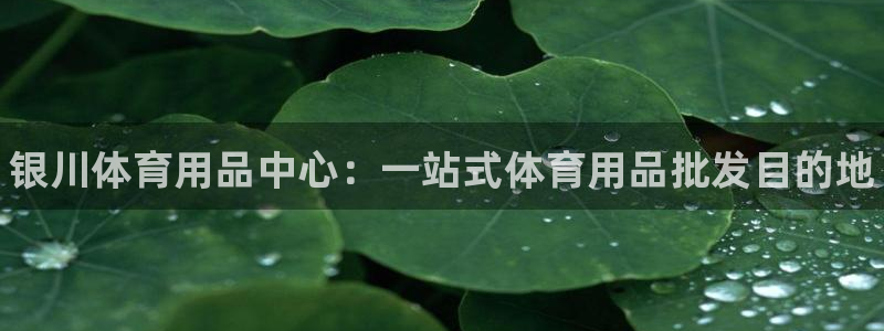 欧陆娱乐官网入口：银川体育用品中心：一站式体育用品批