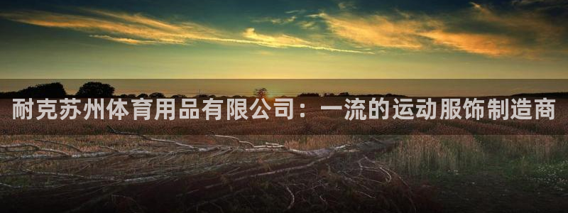 欧陆娱乐平台登录不上：耐克苏州体育用品有限公司：一流的运动服