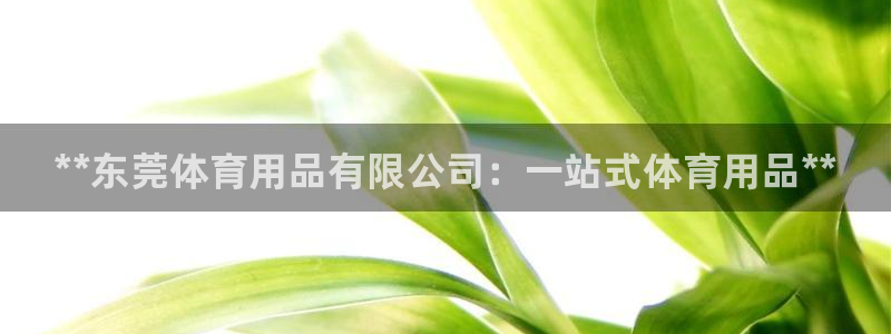 欧陆娱乐稳中：**东莞体育用品有限公司：一站式体育用品**