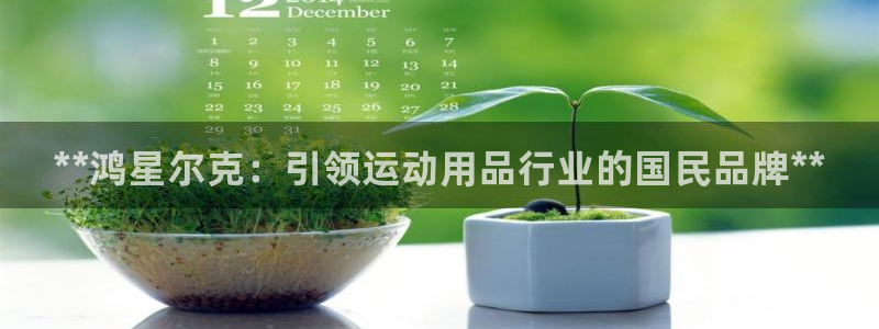 欧陆娱乐共创美好：**鸿星尔克：引领运动用品行业的国