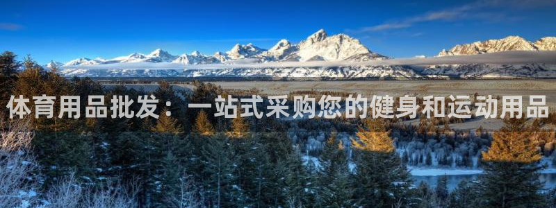 欧陆娱乐合法吗?：体育用品批发：一站式采购您的健身和