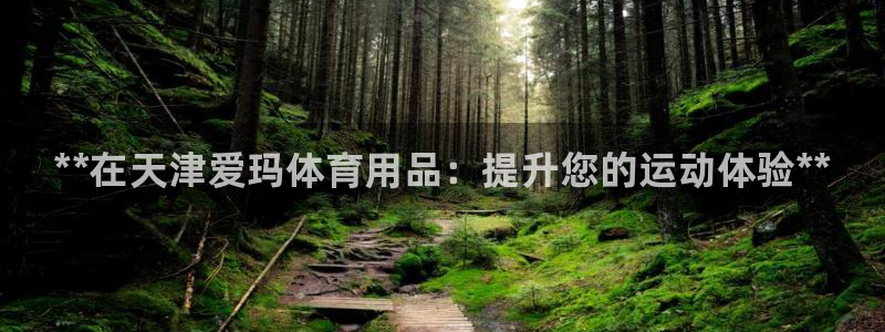 欧陆娱乐会员：**在天津爱玛体育用品：提升您的运动体