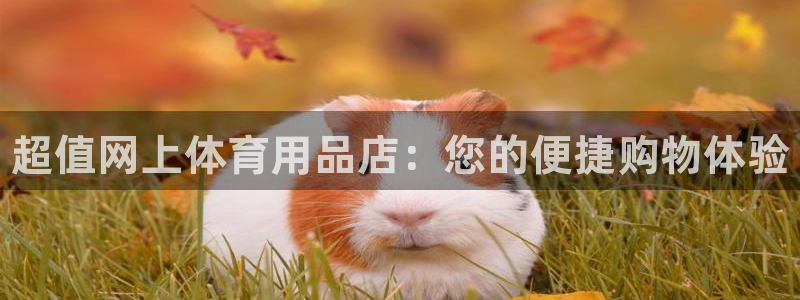 欧陆娱乐合法吗：超值网上体育用品店：您的便捷购物体验