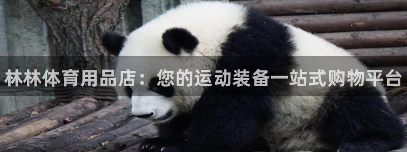 欧陆娱乐官网首页网址：林林体育用品店：您的运动装备一