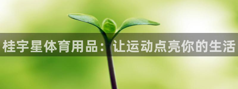 欧陆娱乐挂机怎么玩的：桂宇星体育用品：让运动点亮你的