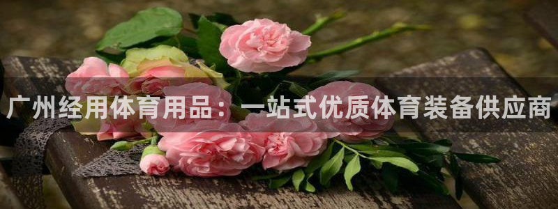 欧陆娱乐注册代理多少钱一个月：广州经用体育用品：一站式优质体