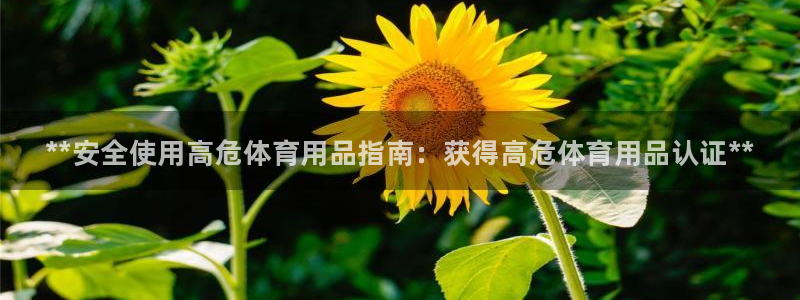 欧陆软件官网：**安全使用高危体育用品指南：获得高危