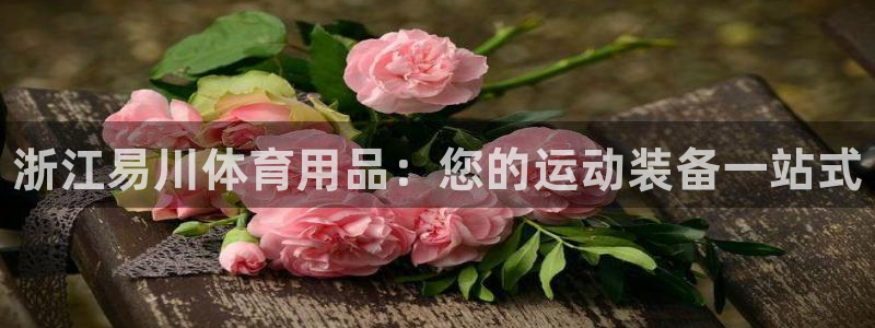 欧陆娱乐计划预测软件：浙江易川体育用品：您的运动装备