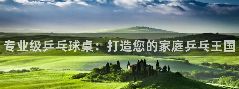 欧陆娱乐app打不开怎么回事儿：专业级乒乓球桌：打造