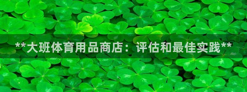 欧陆娱乐的故事有哪些：**大班体育用品商店：评估和最佳实践*