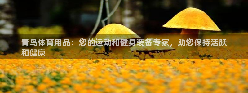 欧陆娱乐是正规平台吗安全吗可信吗：青鸟体育用品：您的运动和健