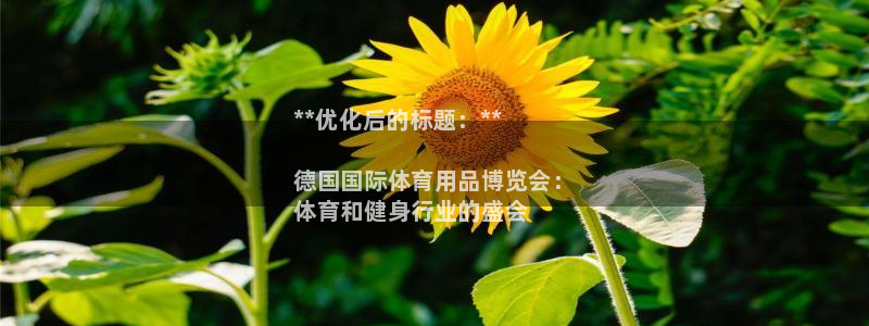 欧陆娱乐注册链接安全吗知乎：**优化后的标题：**

德国国