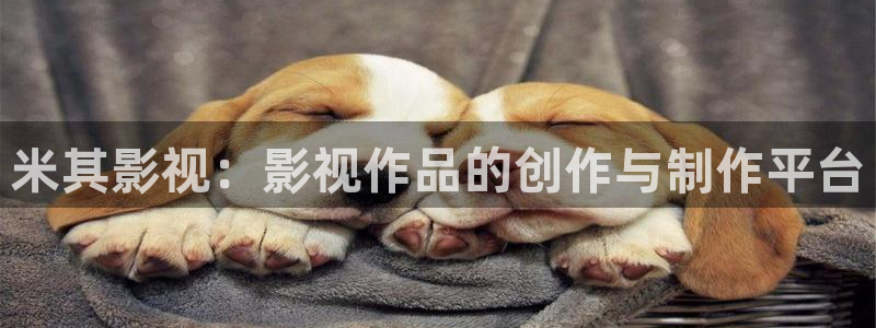 蓝光电影 在线观看：米其影视：影视作品的创作与制作平台