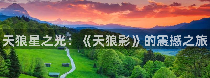 蓝光影视在线观看