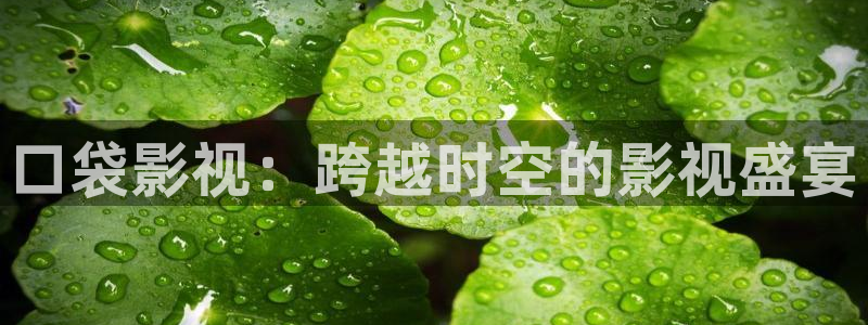 哪里下载蓝光电影