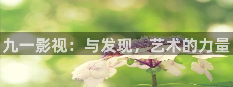 天堂影视蓝光网：九一影视：与发现，艺术的力量
