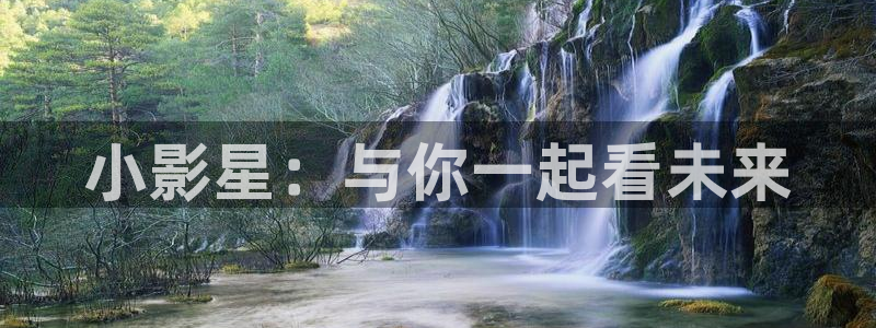 蓝光高清电影免费观看：小影星：与你一起看未来