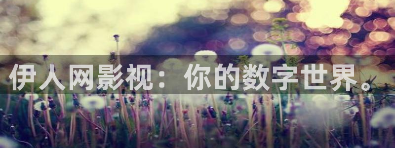 3d 蓝光 电影：伊人网影视：你的数字世界。