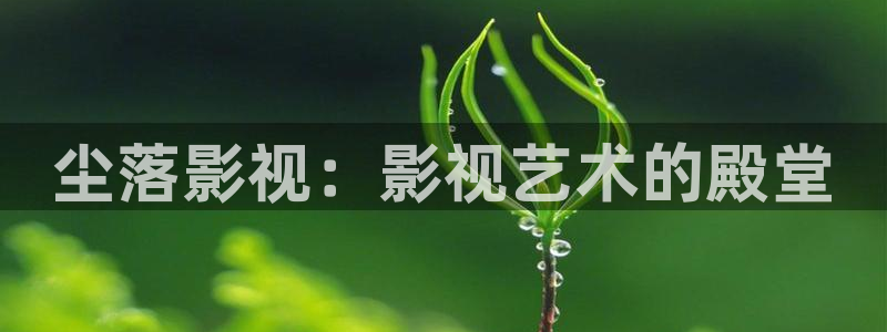 蓝光电影在线看