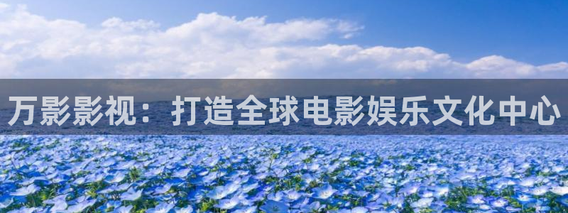 高清蓝光电影网